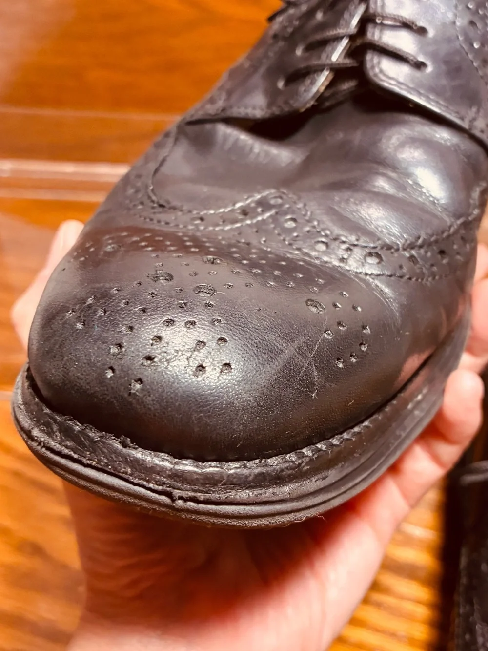 Cole Haan cole haan